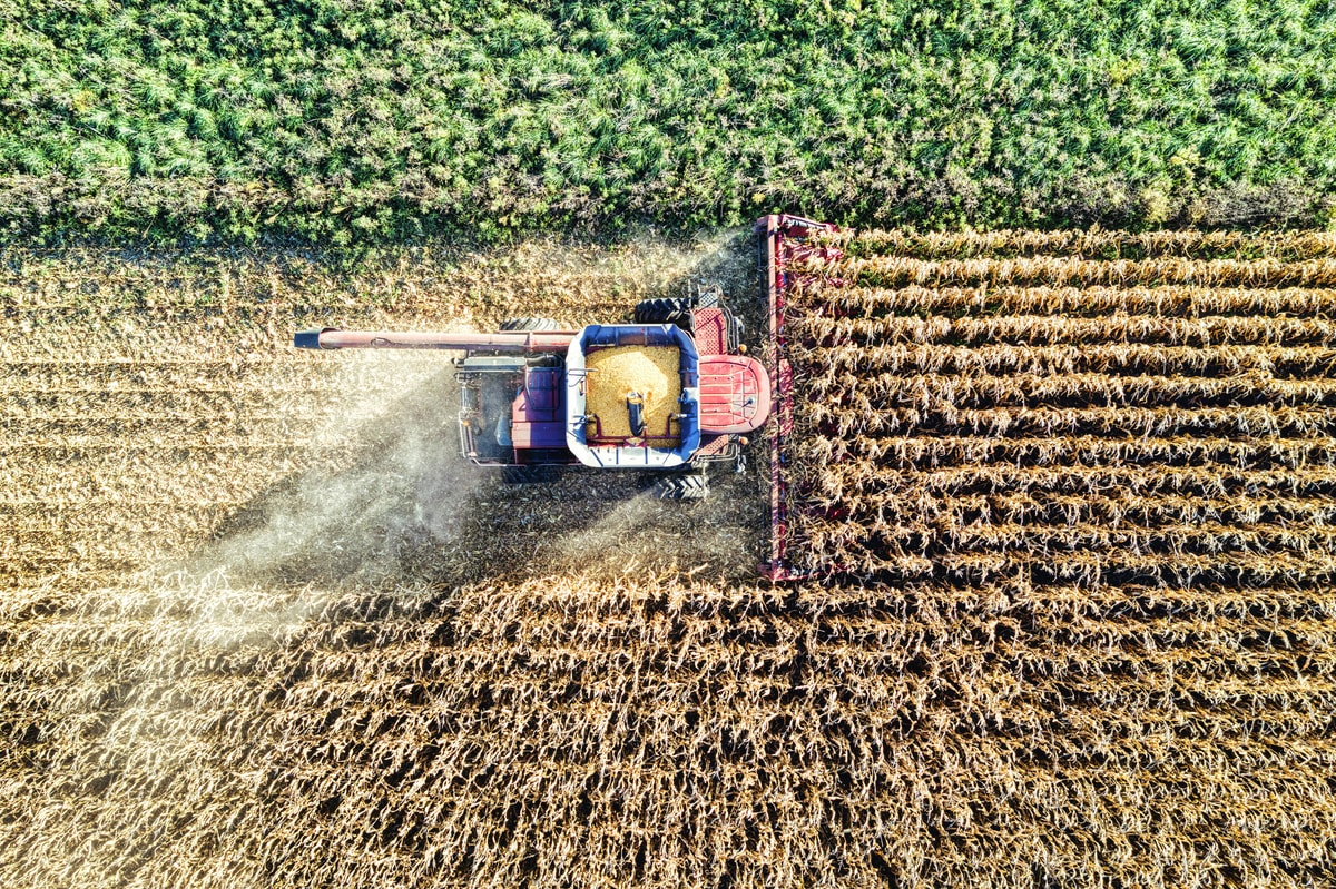 Agroalimentaire et grande distribution : nourrir l'Europe depuis la Belgique