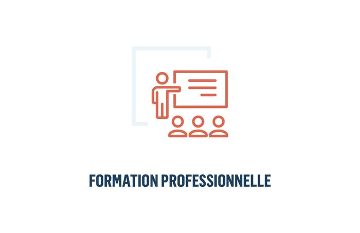 6. Formation professionnelle