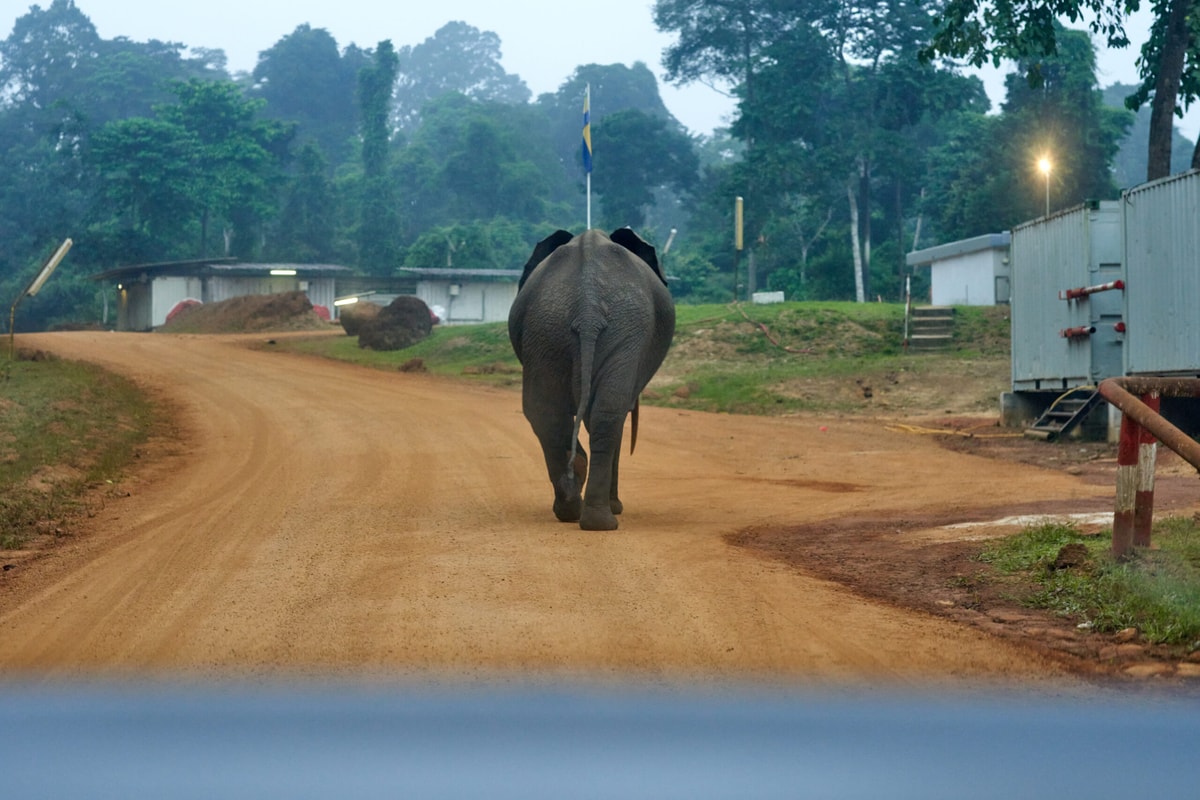 Tourisme et écotourisme : révéler le potentiel naturel du Congo