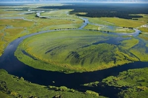 Likouala, richesse verte et carrefour fluvial au nord du Congo