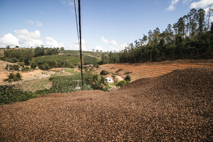 Les Plateaux : colonne vertébrale agro-pastorale du Congo