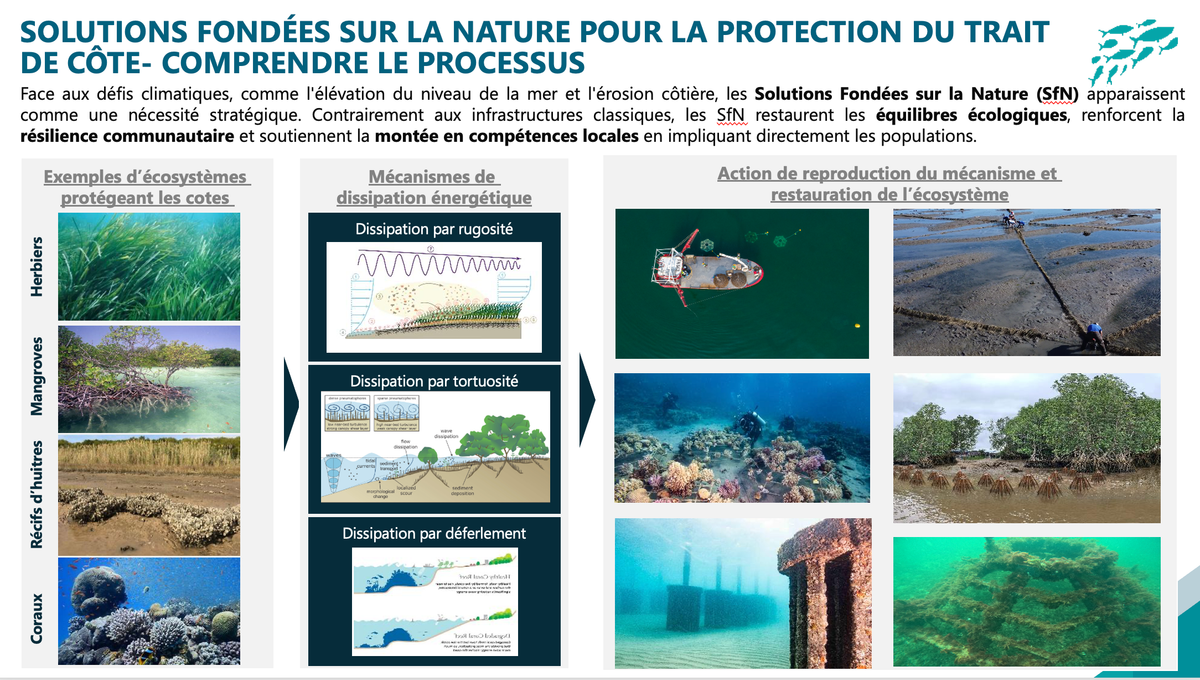 Le Prix de l’Innovation de la REF 2025 décerné à Seaboost