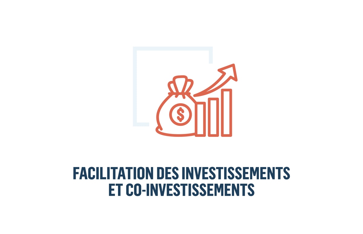 5. Facilitation des investissements et co-investissements 