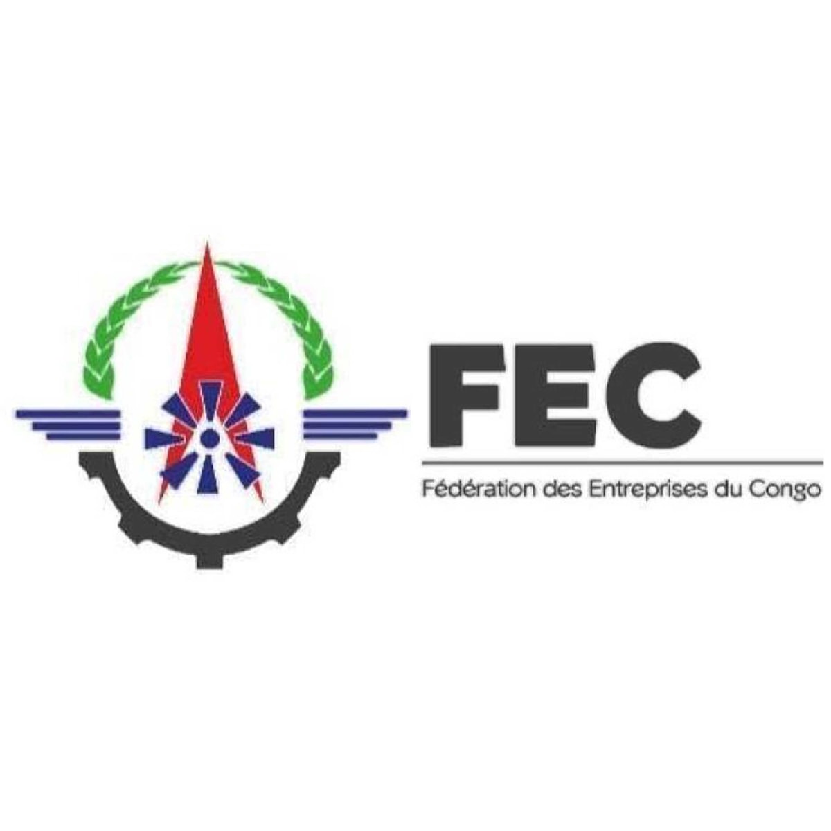 FEC I Fédération des Entreprises du Congo