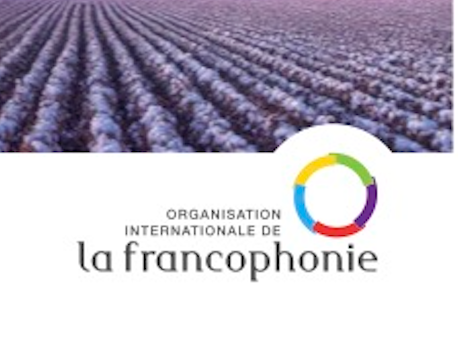 Mission économique de la Francophonie au Bénin