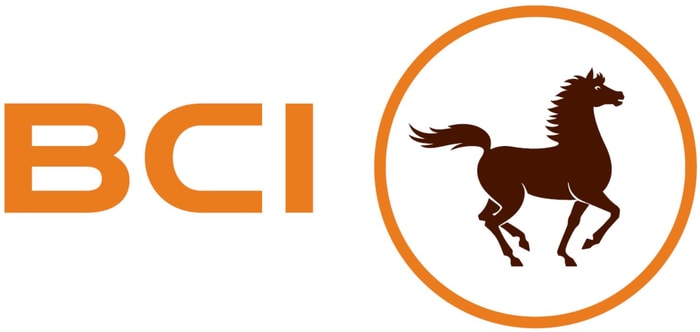 Lidie Francine  AYOUKA 